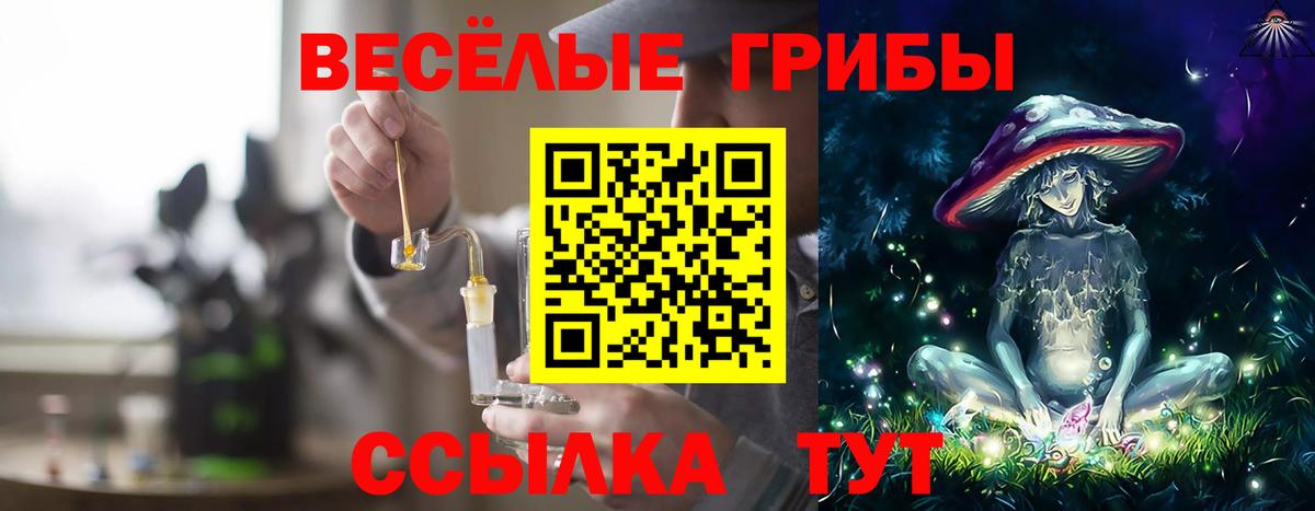 Дербент  Галлюциногенные грибы Psilocybe  Вход с VPN 